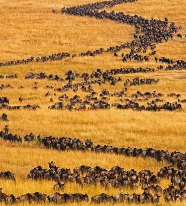 Beautiful landscapes … courtesy of the Masai Mara